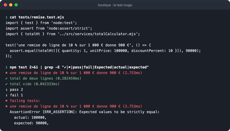 Module 6 : un bug traité par un test rouge, puis vert.